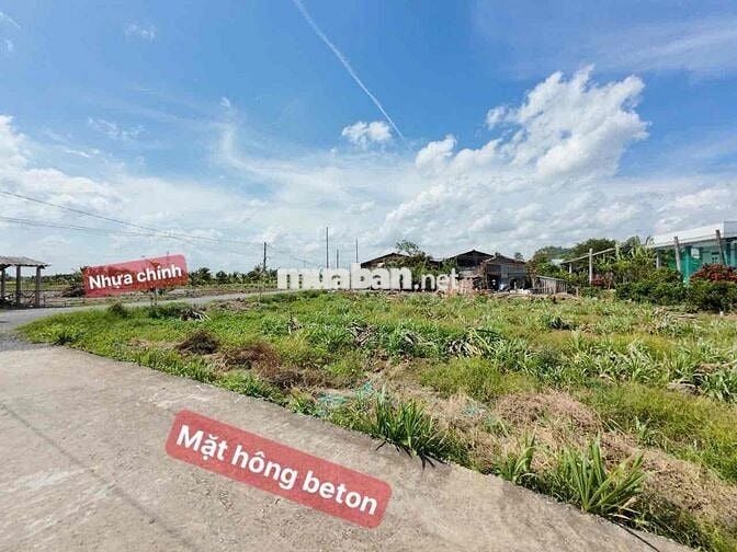 LÔ GÓC 3 MẶT TIỀN NHỰA LỚN, 130M2, GẦN CHỢ, TRƯỜNG HỌC, KINH DOANH TÔT