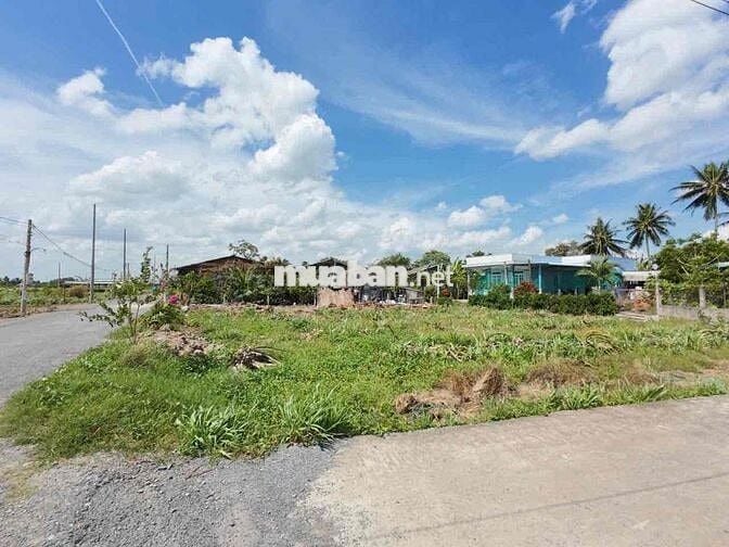 LÔ GÓC 3 MẶT TIỀN NHỰA LỚN, 130M2, GẦN CHỢ, TRƯỜNG HỌC, KINH DOANH TÔT