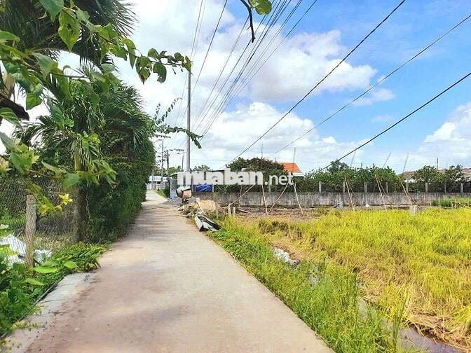 Hàng ngộp, 127m2 đất thổ đường xe tải Trần Thị Bông chỉ 500tr