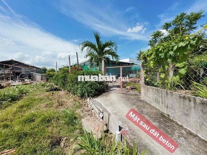 LÔ GÓC 3 MẶT TIỀN NHỰA LỚN, 130M2, GẦN CHỢ, TRƯỜNG HỌC, KINH DOANH TÔT