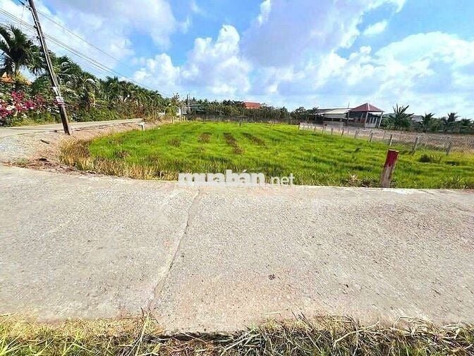 Hàng ngộp, 127m2 đất thổ đường xe tải Trần Thị Bông chỉ 500tr