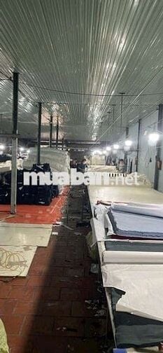 Kho xưởng KDC THUẬN GIAO 340m2 có điện 3 pha, đường nhựa 7m vỉa hè