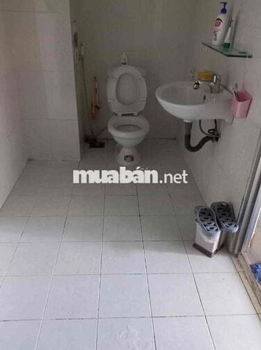 cho thuê căn hộ chung cư quân đội, Lô D.
