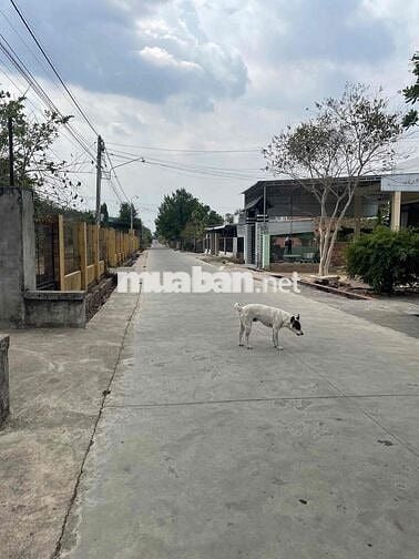 cần tiền bán gấp đất gia an Bình Thuận