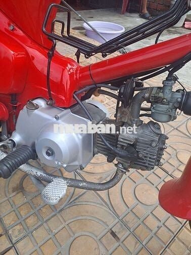 Cup 50 đèn tròn nhập thùng hàng hiếm BSđẹp bao đẹp