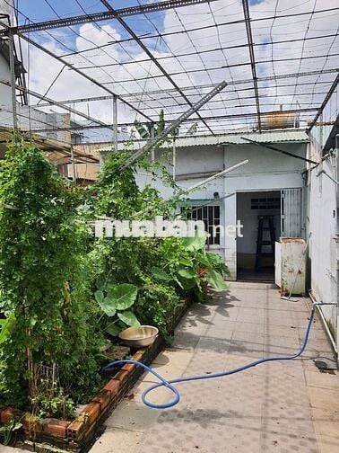 Cho thuê nhà nguyên căn Tân Hiệp 16