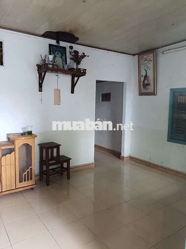 Cho thuê nhà nguyên căn Tân Hiệp 16