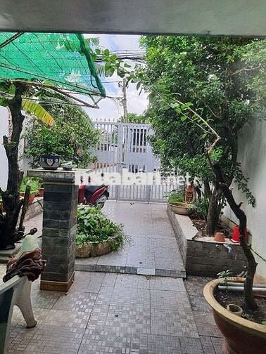 Cho thuê nhà nguyên căn Tân Hiệp 16