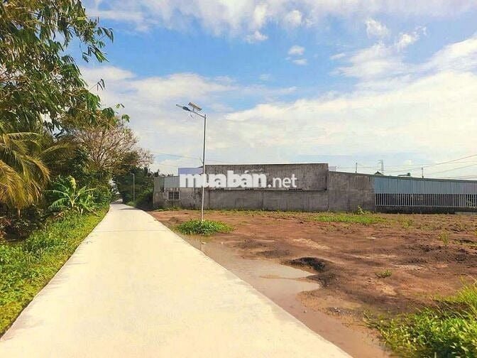 Hàng thơm, 171m2 đất thổ cư 8 x 20m View Kênh chỉ 590tr