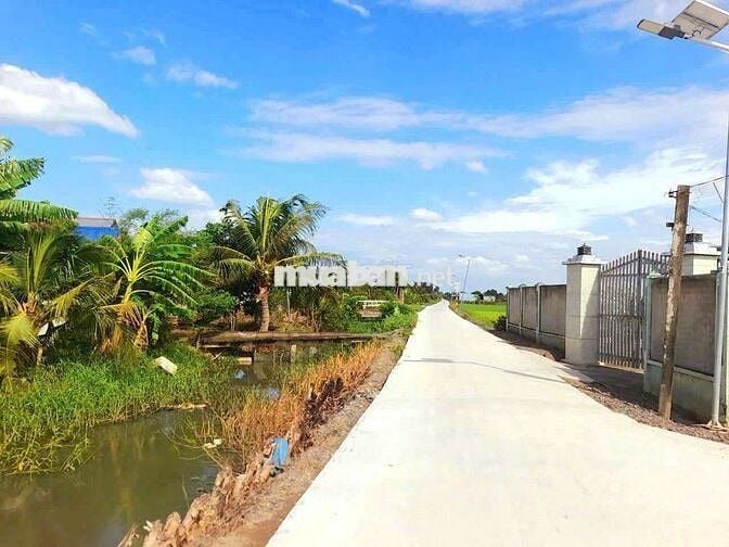 Hàng thơm, 171m2 đất thổ cư 8 x 20m View Kênh chỉ 590tr