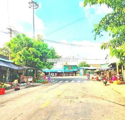 Hàng thơm, 171m2 đất thổ cư 8 x 20m View Kênh chỉ 590tr