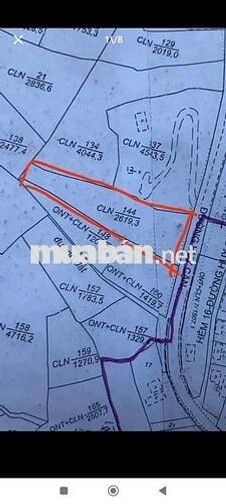 2619m2 Đất phường 3 Bảo lộc , Lâm Đồng