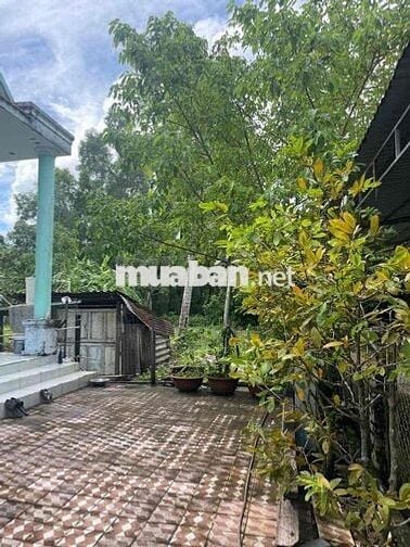 Bán đất tặng nhà trung tâm Rạch Giá, Kiên Giang