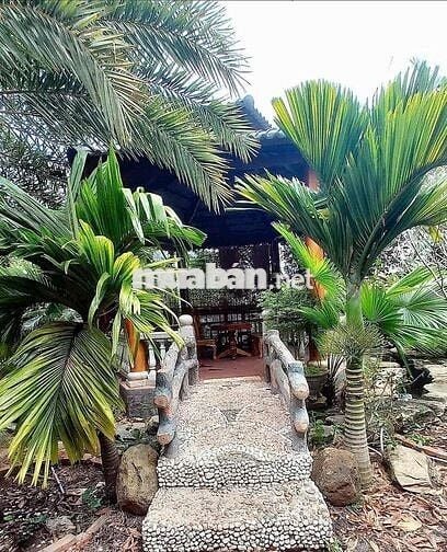 Bán nhà hàng gần khu du lịch Hồ Tràm