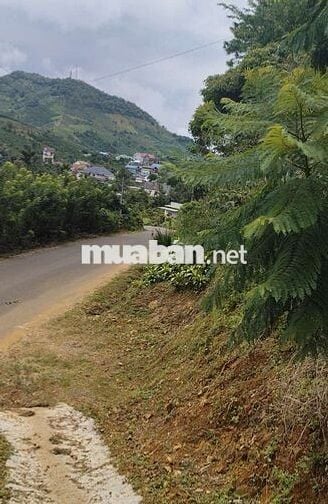 2619m2 Đất phường 3 Bảo lộc , Lâm Đồng
