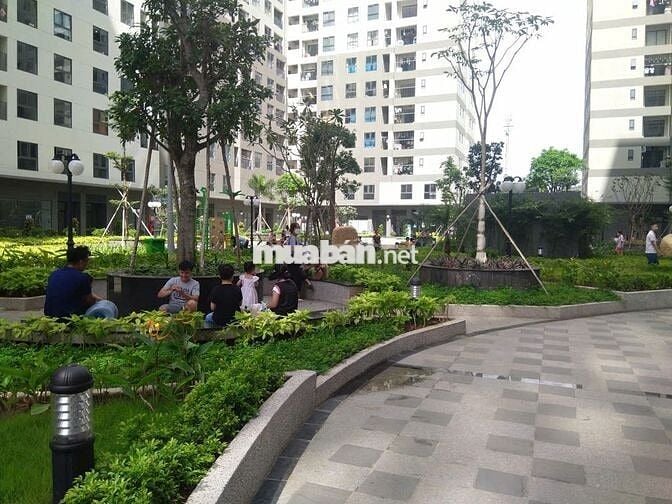 Căn Hộ Bcons Garden 57m2 – View Landmark 81 – Giá 1,72 Tỷ