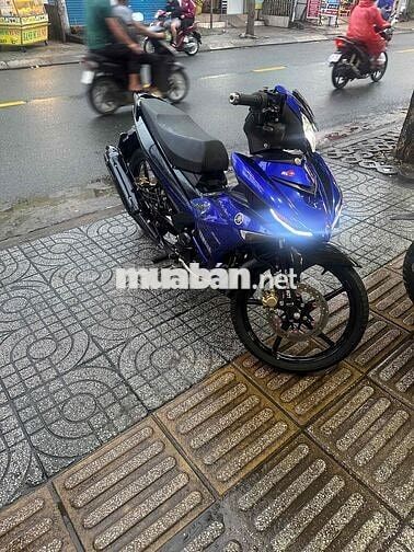 Mx King đồ chơi