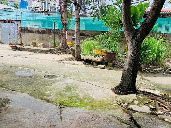 Cho thuê nhà có sân vườn, sạch sẽ, hẻm xe hơi 45 Cao Lỗ, P.4, Q.8