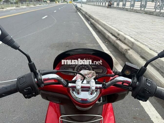 Xe mộc nguyên bản, mới lột keo, , mới trên 95%