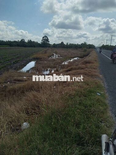 Bán 4541m2 Mặt Tiền 922 cách qlo 91b 3km ngang 42m-2tr3m2 có bán lẻ