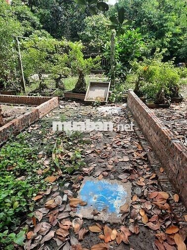 Đất Thổ cư 50m2 tại làng Đặng, xã Thuận An, Hà Nội