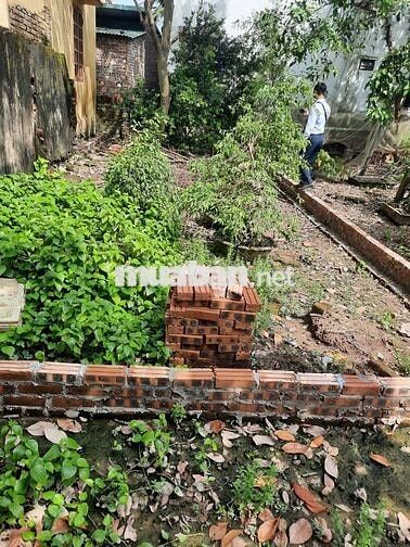 Đất Thổ cư 50m2 tại làng Đặng, xã Thuận An, Hà Nội