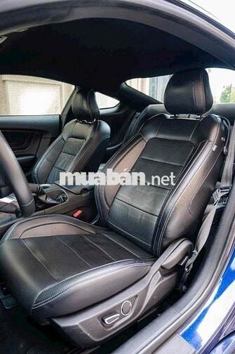 FORD MUSTANG - SỨC MẠNH VÀ CÁI ĐẸP