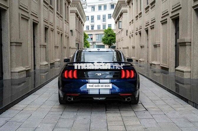 FORD MUSTANG - SỨC MẠNH VÀ CÁI ĐẸP