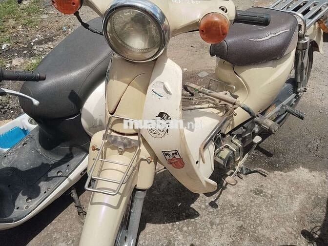 Cúp 50cc hàn quốc