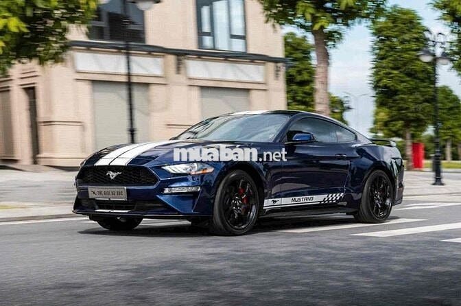 FORD MUSTANG - SỨC MẠNH VÀ CÁI ĐẸP