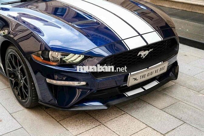 FORD MUSTANG - SỨC MẠNH VÀ CÁI ĐẸP