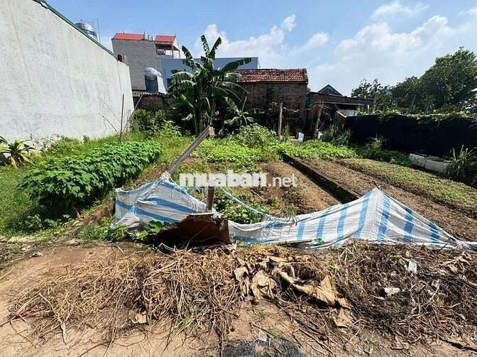 Đất đẹp Bạch Đa, Kim Hoa, Mê Linh. Lô đất nhỏ, siêu hiếm