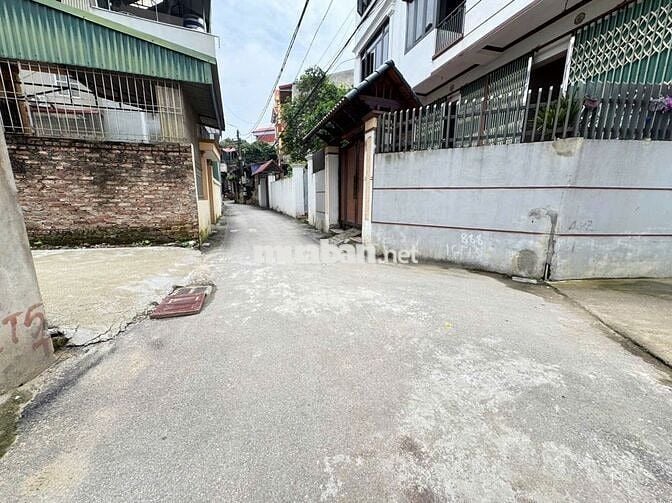 Đất đẹp Bạch Đa, Kim Hoa, Mê Linh. Lô đất nhỏ, siêu hiếm