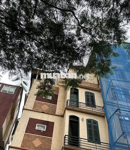 Chính chủ cho thuê nhà mặt phố Nguyễn Lân