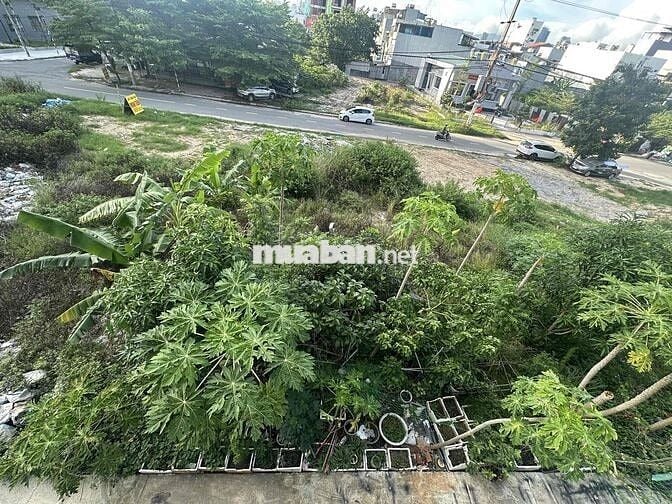 🌿 Căn hộ STUDIO cho LÀM VIỆC TỪ XA với VIEW CÔNG VIÊN