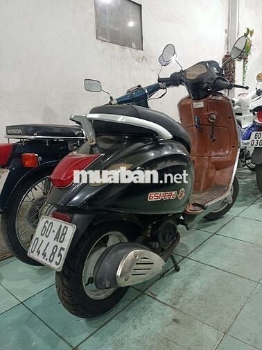 Tay ga 50cc, 2019