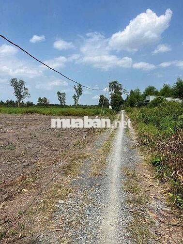 dt: 1000mv , giá 500tr , bình đức - bến lức - long an ( giá tốt )