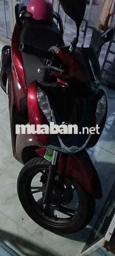 HS125 Màu đỏ.sang trọng