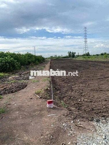 dt : 500m2 , giá 390tr , ấp5 bình đức - bến lức - long an