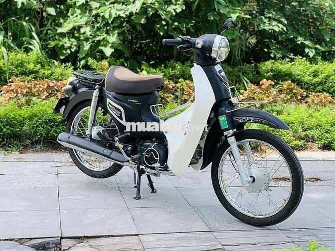 HONDA CUB 50CC MÀU ĐEN NHÁM HỌC SINH ĐI HỌC