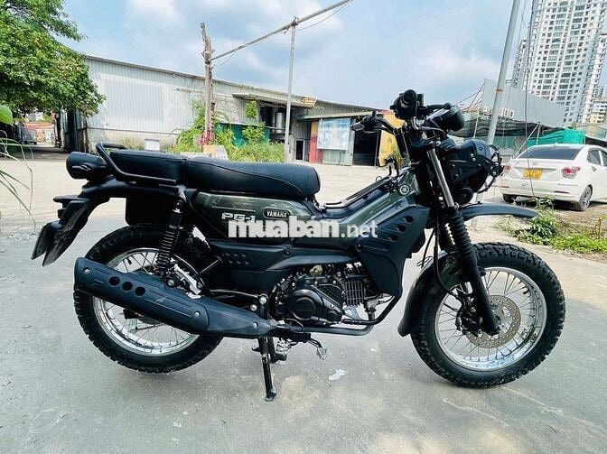 YAMAHA PG-1 MAU XANH RÊU ZIN CHẤT.