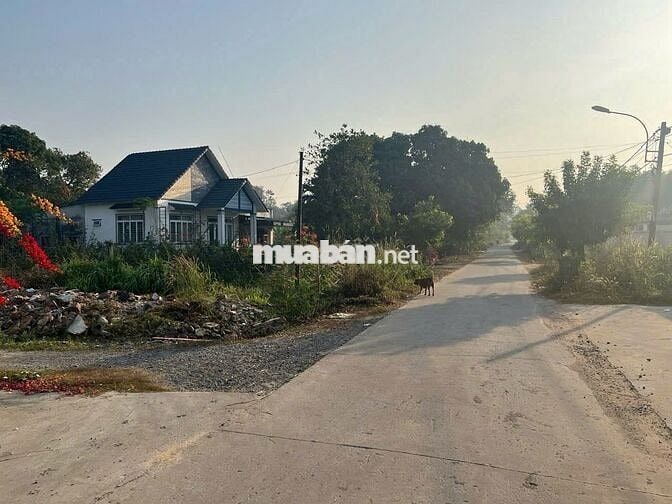 Bán đất 360m2 (9x40) hẻm đường Nguyễn Thị Nê, Phú Hòa Đông, Củ Chi