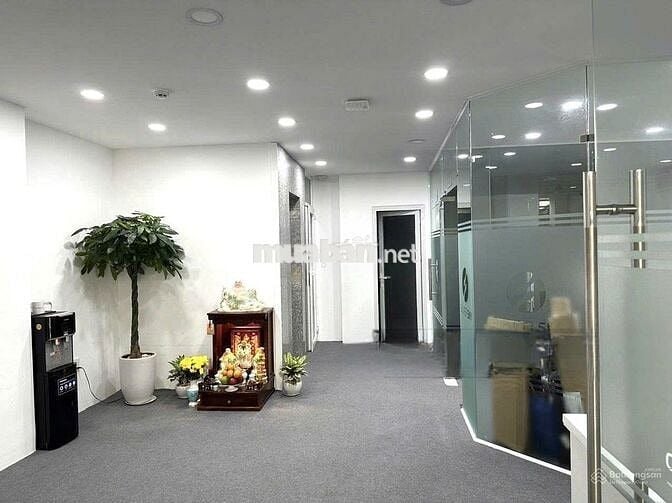 Cho Thuê Nhà Đường Thích Minh Nguyệt, Tân Bình ( 8x20m - Thang Máy )