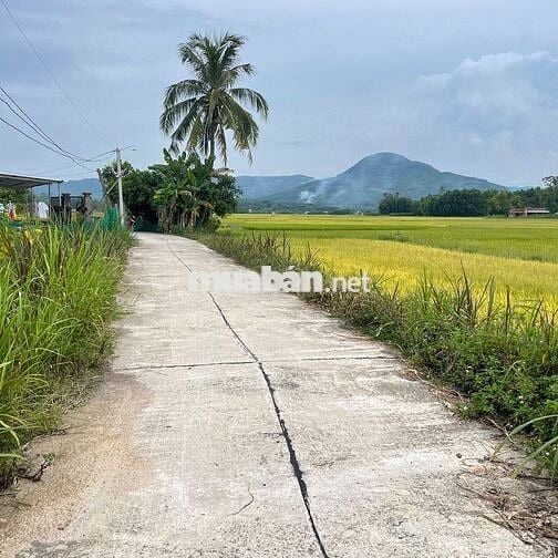 Bán lô đất nền ngang 6 ,170m, đường xe hơi,view đẹp giá tốt 390 triệu