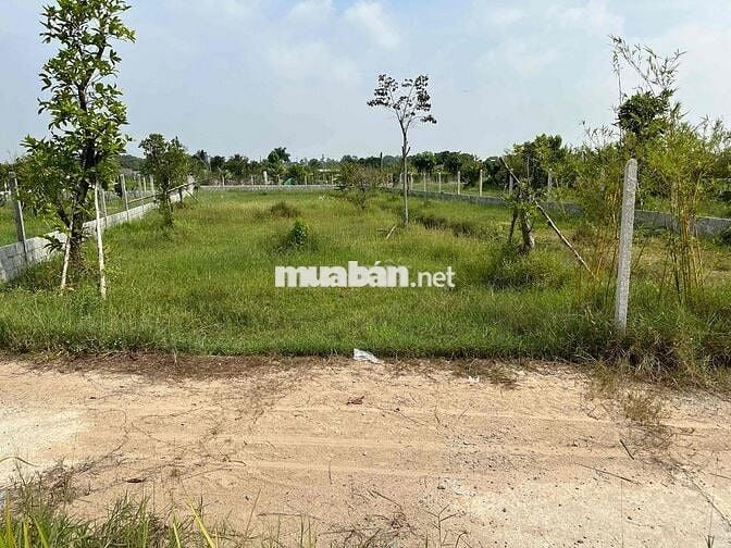 Tôi cần bán lô đất có hàng rào vườn cây ao cá thuận tiện đi các tỉnh