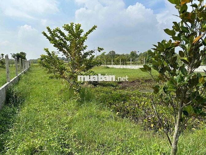Tôi cần bán lô đất có hàng rào vườn cây ao cá thuận tiện đi các tỉnh