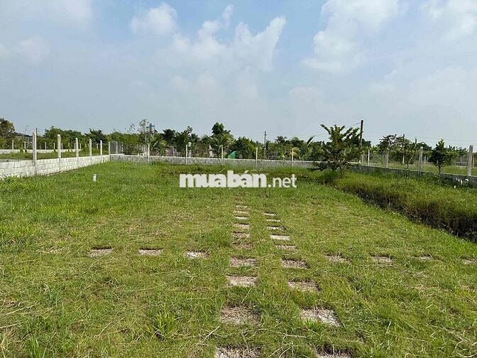 Tôi cần bán lô đất có hàng rào vườn cây ao cá thuận tiện đi các tỉnh