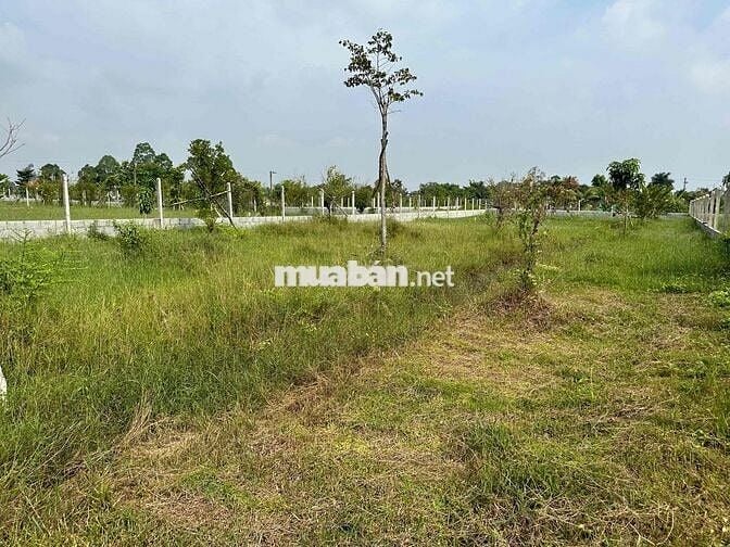 Tôi cần bán lô đất có hàng rào vườn cây ao cá thuận tiện đi các tỉnh