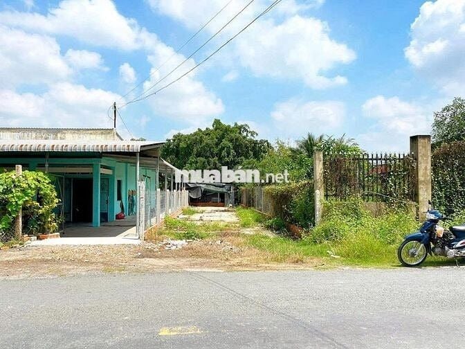 🌟 Bán đất Nguyễn Thị Nê – Giá chỉ 550 triệu 🌟