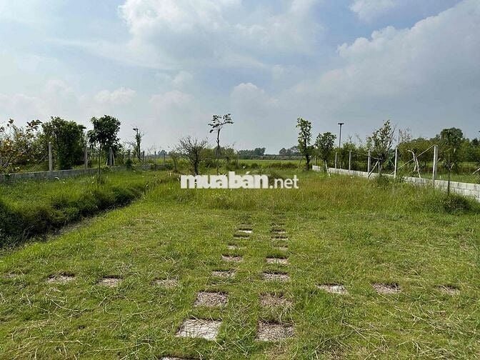 Tôi cần bán lô đất có hàng rào vườn cây ao cá thuận tiện đi các tỉnh